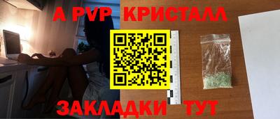 амф Кингисепп