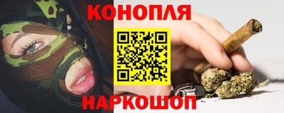 амф Кингисепп