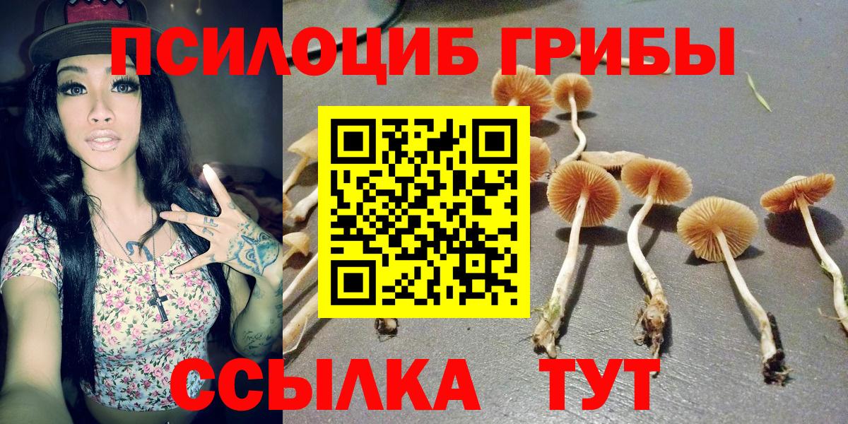 Псилоцибиновые грибы Psilocybine cubensis Костомукша