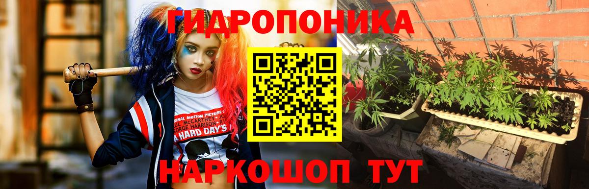 Конопля планчик Костомукша